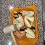 Photo of Patas Stone Crab