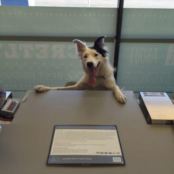 Petco - Pet Stores Near Me - San Antonio, Texas