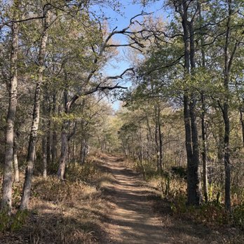 Lockhart State Park - Rattlesnake - Parks Near Me - Lockhart, Texas