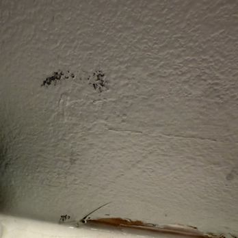 Premier Painting and Drywall Solutions - Old paint coming through. - Drywall Installation & Repair Near Me Premier Painting and Drywall Solutions - Old paint coming through. - Drywall Installation & Repair Near Me