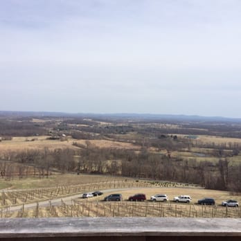 Bluemont Vineyard - View from the deck - Venues & Event Spaces Near Me - Bluemont, Virginia