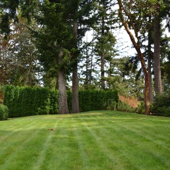 Green Image Lawn and Garden - green lawn and garden - Gardeners Near Me Green Image Lawn and Garden - green lawn and garden - Gardeners Near Me
