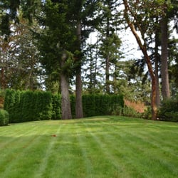 Green Image Lawn and Garden