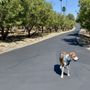Photo of SNS Asphalt Services - Stripe 'N' Seal & Aaron Paving