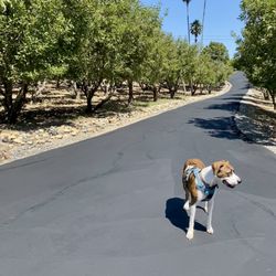 SNS Asphalt Services - Stripe 'N' Seal & Aaron Paving - Entry