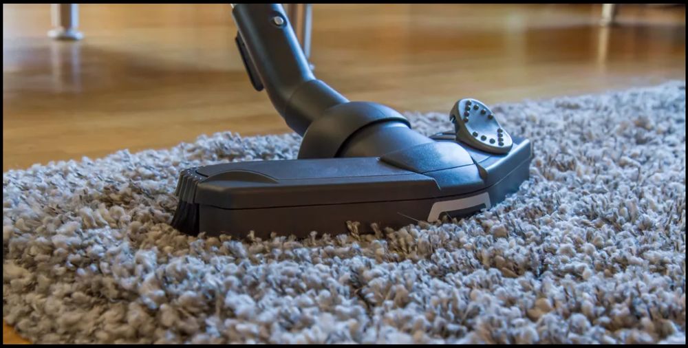 AMERICAN CARPET CLEANERS Updated August 2024 24 Photos Maple