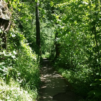 Latourell Falls - Hiking Near Me - Portland, Oregon Latourell Falls - Hiking Near Me - Portland, Oregon