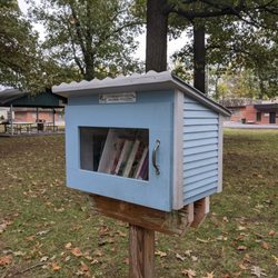 Little Free Library - Little Free Library, Paducah