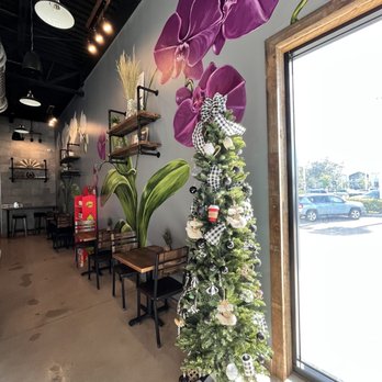Foxtail Coffee - Boca West - Foxtail interior murals - Coffee Roasteries Near Me - Boca Raton, Florida