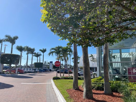 SCHUMACHER VOLVO CARS OF THE PALM BEACHES - Updated July 2025 - 57