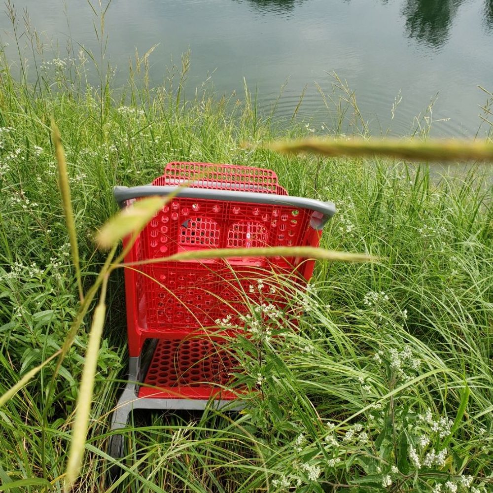 Shopping card one foot from Lund lake which I pulled out. Shopping card one foot from Lund lake which I pulled out.