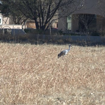 Los Poblanos Fields Open Space - Parks Near Me - Albuquerque, New Mexico