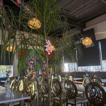 La Jaiba Mexigrill - Mexican Near Me - Campbell, California La Jaiba Mexigrill - Mexican Near Me - Campbell, California