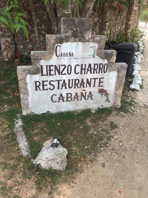 Cenote Suytun by null