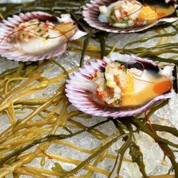 Oysters