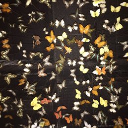 What looks like a million butterflies, dropping down from the ceiling, just over your head