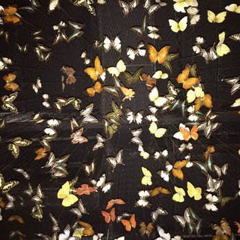 The Iron Fairies - What looks like a million butterflies, dropping down from the ceiling, just over your head - Cocktail Bars Near Me - Hong Kong, HK