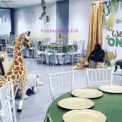 G and G Hall Rental - Animal themed party