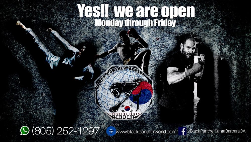 Black Panther World Martial Arts Academy Logo