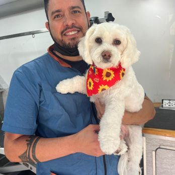 Ally Pet Grooming - Meet your groomer! - Pet Groomers Near Me Ally Pet Grooming - Meet your groomer! - Pet Groomers Near Me