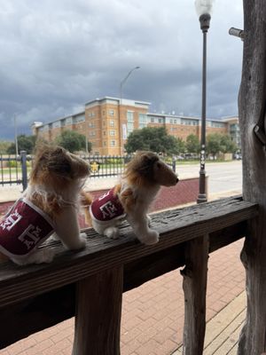 Dixie Chicken by null