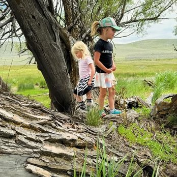 Wild Roots Montessori - Montessori Schools Near Me - Park City, Utah Wild Roots Montessori - Montessori Schools Near Me - Park City, Utah
