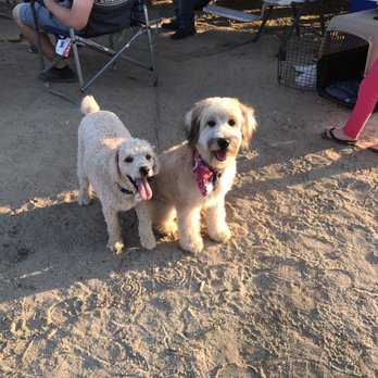 Riverwalk Pet Resort - Vinny and Nala camping after a groom. - Pet Groomers Near Me - Riverside, California Riverwalk Pet Resort - Vinny and Nala camping after a groom. - Pet Groomers Near Me - Riverside, California