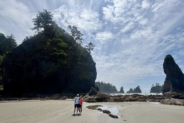 Shi Shi Beach by null