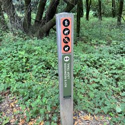Roys Redwoods Preserve