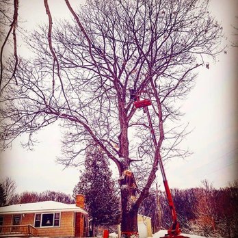 Parshall Tree Care Experts - Join the revolution! We're a team skilled and advanced tree experts who are reinventing an outdated tree industry. * * *#p... - Tree Services Near Me - Traverse City, Michigan Parshall Tree Care Experts - Join the revolution! We're a team skilled and advanced tree experts who are reinventing an outdated tree industry. * * *#p... - Tree Services Near Me - Traverse City, Michigan
