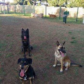 Veteran's Park Dog Park - Dog Parks Near Me - Imperial Beach, California Veteran's Park Dog Park - Dog Parks Near Me - Imperial Beach, California