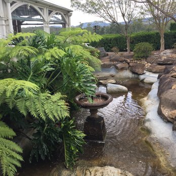 Albert River Wines - The trickling stream and waterfall - Restaurants Near Me - Tamborine, QLD Albert River Wines - The trickling stream and waterfall - Restaurants Near Me - Tamborine, QLD