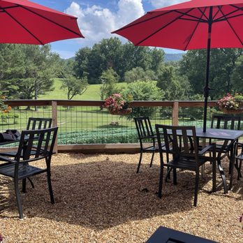 Redtail Mountain Vineyard - Beautiful setting! - Wine Tasting Room Near Me - Blairsville, Georgia Redtail Mountain Vineyard - Beautiful setting! - Wine Tasting Room Near Me - Blairsville, Georgia