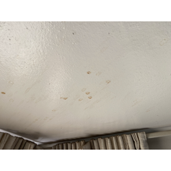 DRA Rentals - Ceiling at check in.