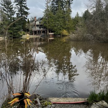 Old Trout Inn - Pic of pond and house from the back of property. - Bed & Breakfast Near Me - Eastsound, Washington