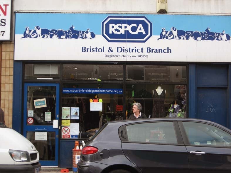RSPCA 78 Gloucester Rd, Bristol, United Kingdom Thrift Stores Phone Number Yelp