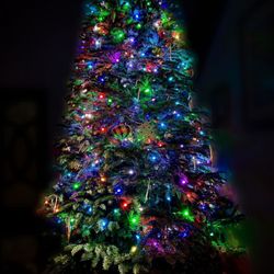 The Robles Pumpkin Patch & Christmas Trees - 10ft noble - perfect for hanging all ornaments