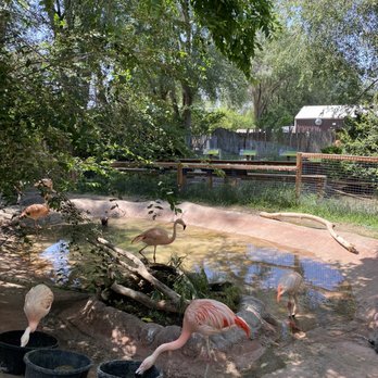 Idaho Falls Zoo - Zoos Near Me - Idaho Falls, Idaho Idaho Falls Zoo - Zoos Near Me - Idaho Falls, Idaho