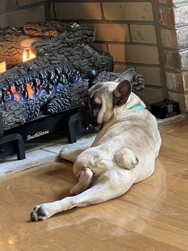 BROWN VETERINARY SERVICE Updated October 2024 300 McGinnis Dr