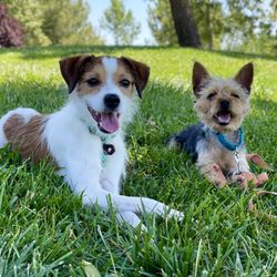Best friends that met at training!