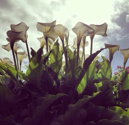 Rathmullan House Hotel by null