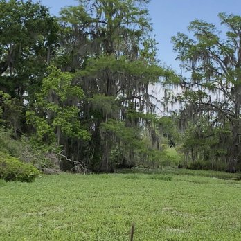 Barataria Preserve - Pure serenity out here. - Parks Near Me - Marrero, Louisiana Barataria Preserve - Pure serenity out here. - Parks Near Me - Marrero, Louisiana