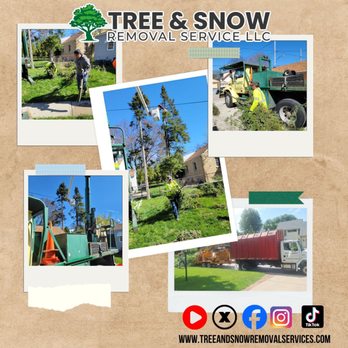 Tree & Snow Removal Service - Tree Services Near Me - Menomonee Falls, Wisconsin Tree & Snow Removal Service - Tree Services Near Me - Menomonee Falls, Wisconsin