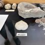 Phillip J. Currie Dinosaur Museum