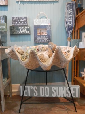 The Blue Mussel by null