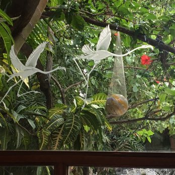 La Habichuela - Love this window etching. - Caribbean Near Me - Cancún, ROO