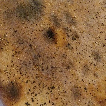 Hoboken Pie - Charred breadcrumbs all over Hoboken Pies. - Pizza Near Me - Austin, Texas Hoboken Pie - Charred breadcrumbs all over Hoboken Pies. - Pizza Near Me - Austin, Texas