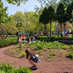 Council Oak Montessori School - Fun in the sun