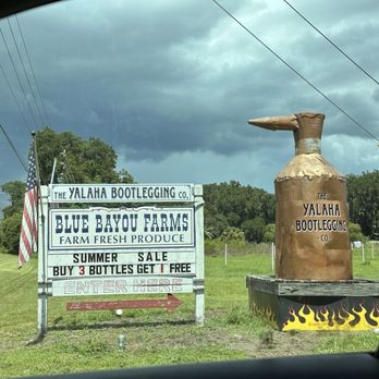 Yalaha Bootlegging - Distilleries Near Me - Yalaha, Florida