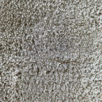 Special Touch Carpet Cleaners - Carpet Cleaning Near Me - Cuyahoga Falls, Ohio Special Touch Carpet Cleaners - Carpet Cleaning Near Me - Cuyahoga Falls, Ohio